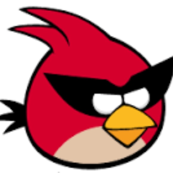 angrybirdsguy01